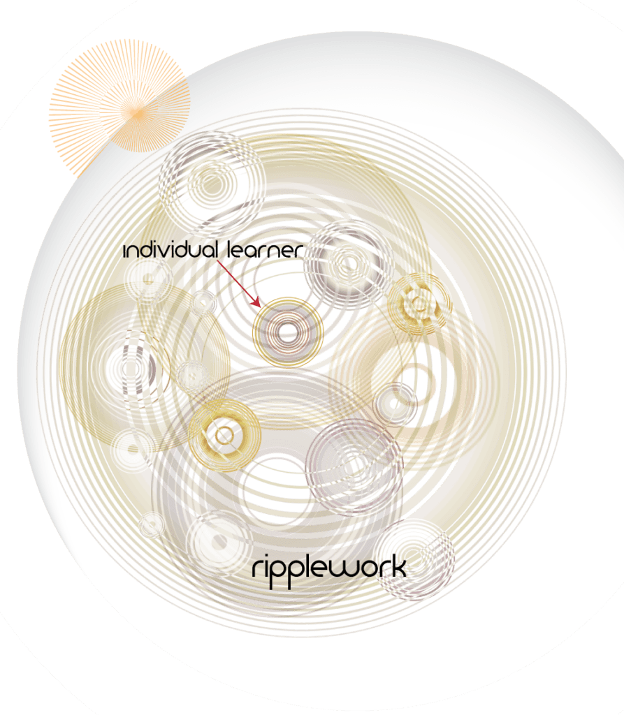 Making Ripples Programme Systems Thinking - Ripplesatwork